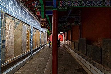 《哥谭骑士》蝙蝠女战斗视频动作华丽犹如舞蹈